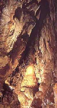 enlarge picture: Bozkovské jeskyně (Bozkovské Caves) * Krkonose Mountains (Giant Mts)