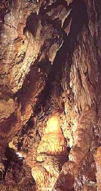 enlarge picture: Bozkovsk jeskyn (Bozkovsk Caves) * Krkonose Mountains (Giant Mts)