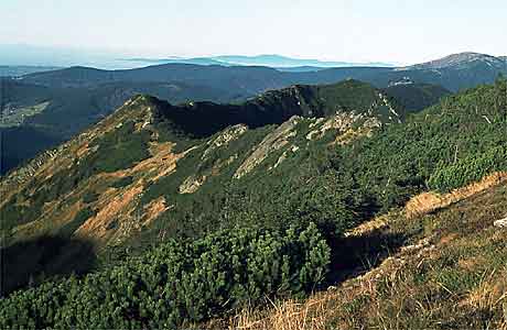 Crystalline slate (gneiss, mica schist, phylite,quartzite) * Krkonose Mountains (Giant Mts)