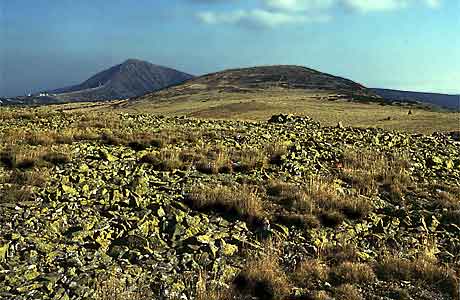 Stony polygons * Krkonose Mountains (Giant Mts)