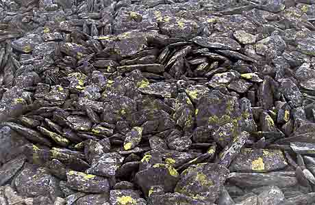 Stony polygons * Krkonose Mountains (Giant Mts)