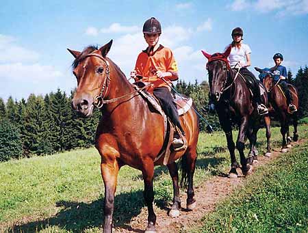 Horse-back riding * Krkonose Mountains (Giant Mts)