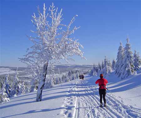 Langlaufen im Riesengebirge * Riesengebirge (Krkonose)