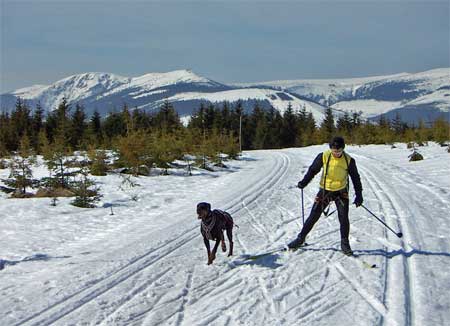 Aktiv erleben * Riesengebirge (Krkonose)