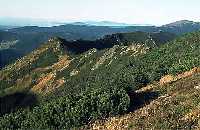 Crystalline slate (gneiss, mica schist, phylite,quartzite) * Krkonose Mountains (Giant Mts)