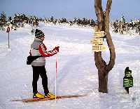 enlarge picture: Cross-country skiing in Krkonose Mountains * Krkonose Mountains (Giant Mts)