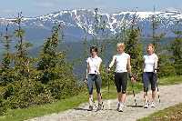 Bild vergrössern: Nordic-Walking im Riesengebirge * Riesengebirge (Krkonose)