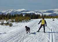 enlarge picture: Activities * Krkonose Mountains (Giant Mts)