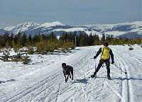 Activities * Krkonose Mountains (Giant Mts)