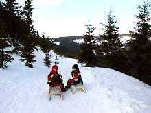 Sledge run - Jansk Lazn * Krkonose Mountains (Giant Mts)