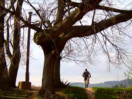 Criss-cross the county of Jilemnice (Trecking, MTB) * Krkonose Mountains (Giant Mts)