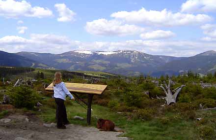 ernohorsk raelinit - Naun stezka Sprvy KRNAP * Krkonose Mountains (Giant Mts)