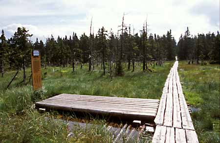 ernohorsk raelinit - Naun stezka Sprvy KRNAP * Riesengebirge (Krkonose)