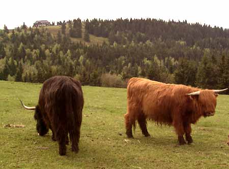 Rychory - Learning path * Krkonose Mountains (Giant Mts)