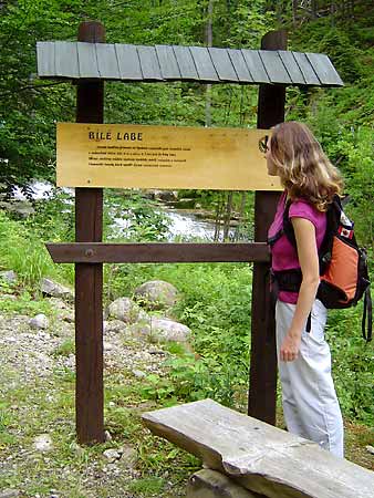 Trail through the Valley of Bile Labe, Weber's Trail * Krkonose Mountains (Giant Mts)