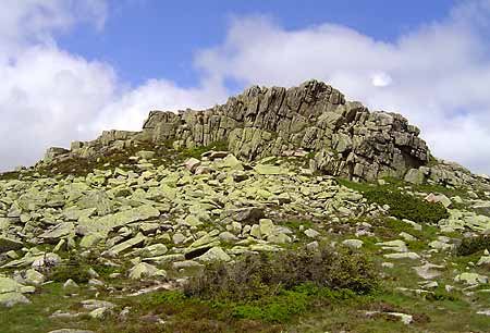 Road to the Elbe spring * Krkonose Mountains (Giant Mts)