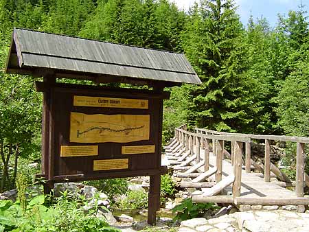 Certuv dul (Teufelsgrund im Teufelsgraben ) * Riesengebirge (Krkonose)