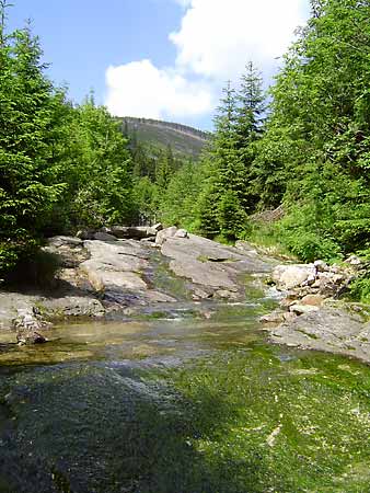 Certuv dul (Teufelsgrund im Teufelsgraben ) * Riesengebirge (Krkonose)