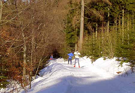 Vrchlab (Kovky) - Horn Mseky - trasa .1 * Karkonosze