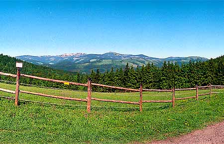 Abfahrt vom Rchory (MTB) * Riesengebirge (Krkonose)