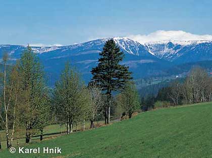 Auf Skiloipen im Sommer (MTB) * Riesengebirge (Krkonose)