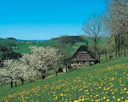 Abfahrt in die Gegend der verschollenen Patrioten (MTB) * Riesengebirge (Krkonose)