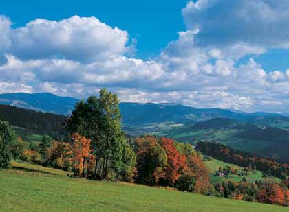 Abfahrt in die Gegend der verschollenen Patrioten (MTB) * Riesengebirge (Krkonose)