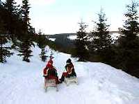 enlarge picture: Sledge run - Jansk Lazn * Krkonose Mountains (Giant Mts)