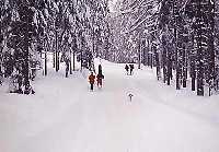 enlarge picture: Strn - Svat Petr * Krkonose Mountains (Giant Mts)