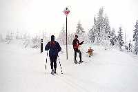 Strn  (okrun trasa  Pedn Planina ) * Krkonose Mountains (Giant Mts)