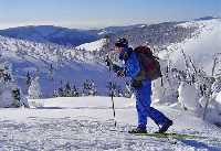 enlarge picture: Harrachov's X-country skiing magistral * Krkonose Mountains (Giant Mts)