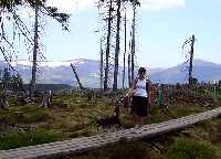 ernohorsk raelinit - Naun stezka Sprvy KRNAP * Krkonose Mountains (Giant Mts)