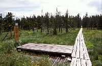 enlarge picture: ernohorsk raelinit - Naun stezka Sprvy KRNAP * Krkonose Mountains (Giant Mts)