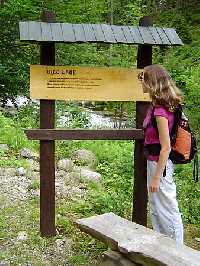 Trail through the Valley of Bile Labe, Weber's Trail * Krkonose Mountains (Giant Mts)