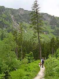 enlarge picture: Harrach's trail * Krkonose Mountains (Giant Mts)