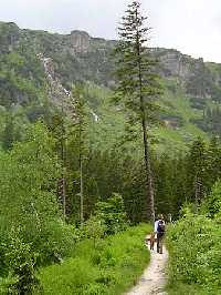 Der Harrachweg * Riesengebirge (Krkonose)