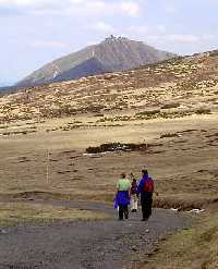 enlarge picture: Trail of Czech - Polish Friendship: Spindlerova bouda - Pomezni Boudy * Krkonose Mountains (Giant Mts)