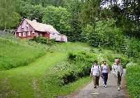 enlarge picture: Buchar's Trail * Krkonose Mountains (Giant Mts)