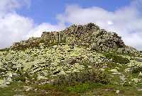 Der Weg zur Elbquelle * Riesengebirge (Krkonose)