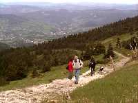 enlarge picture: Krakonos' Path * Krkonose Mountains (Giant Mts)