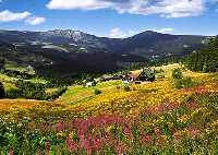 Scenic hiking track Vlci jama (Wolf Hollow) * Krkonose Mountains (Giant Mts)