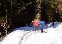 enlarge picture: Benecko - Horn Mseky (Trasa .1) * Krkonose Mountains (Giant Mts)