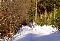 enlarge picture: Vrchlab (Kovky) - Horn Mseky - trasa .1 * Krkonose Mountains (Giant Mts)