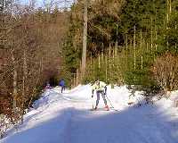 enlarge picture: Benecko - Horn Mseky (Trasa .2) * Krkonose Mountains (Giant Mts)