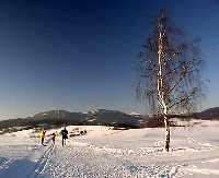 Beck trat Mlad Buky * Krkonose Mountains (Giant Mts)