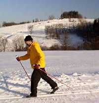 enlarge picture: Beck trat Mlad Buky * Krkonose Mountains (Giant Mts)