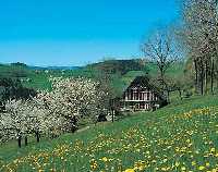 Abfahrt in die Gegend der verschollenen Patrioten (MTB) * Riesengebirge (Krkonose)