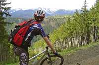 enlarge picture: The Blueberry Tour (MTB) * Krkonose Mountains (Giant Mts)