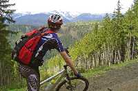 The Blueberry Tour (MTB) * Krkonose Mountains (Giant Mts)